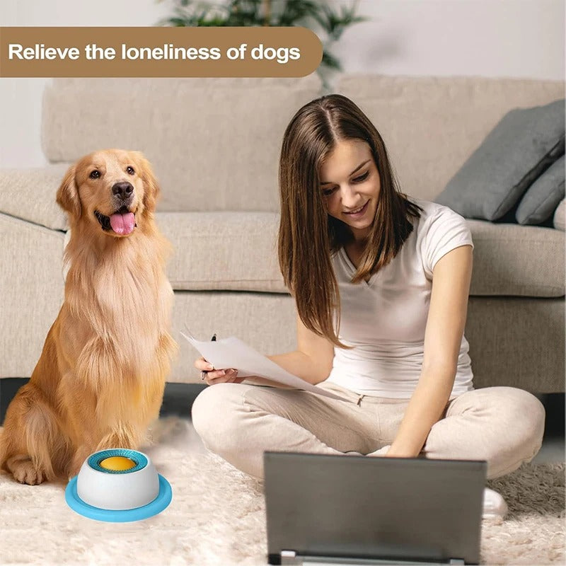 Pet Lick Plate