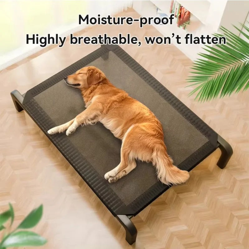 Elevated Dog Bed