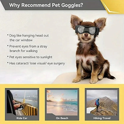 Pet Goggles